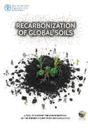 Recarbonization of Global Soils