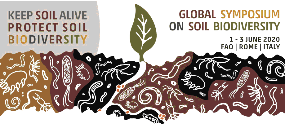 Simposio Global Biodiversidade Solo Roma 1a3 Junho