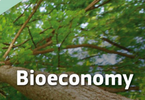 Bioeconomy REDR