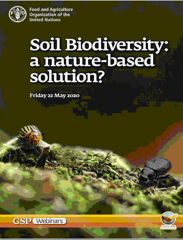 Soil biodiversity a nature based solution